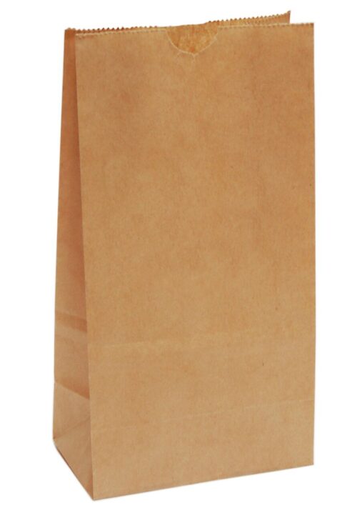BROWN PAPER SOS BAGS #4